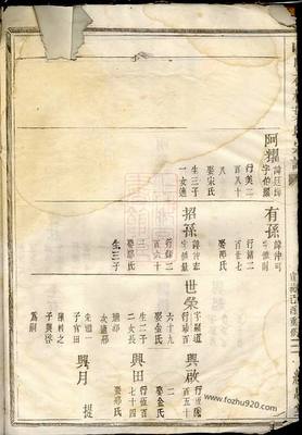 山口石林叶氏宗谱》 [浙江金华]