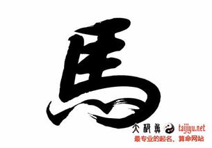 马姓男女宝宝生辰八字起名大全及马姓取名要点