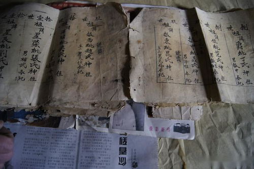 开濮曹徐马氏族谱 家谱篇