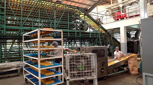 50岁 上好佳 上市搁浅折射老牌休闲食品窘境